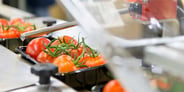 Why Changeovers in Automatic Labeling Cost More Than You Think